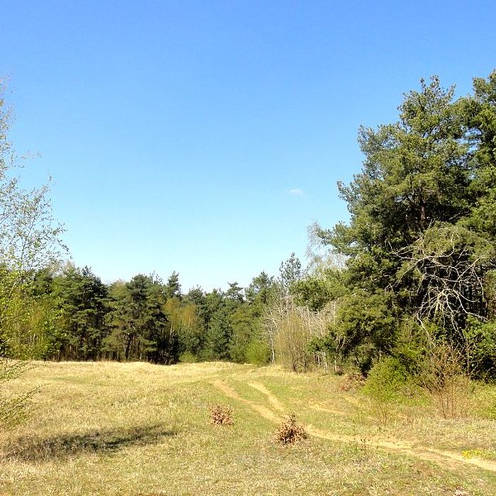 Photo de Oppidum gaulois et camp de César