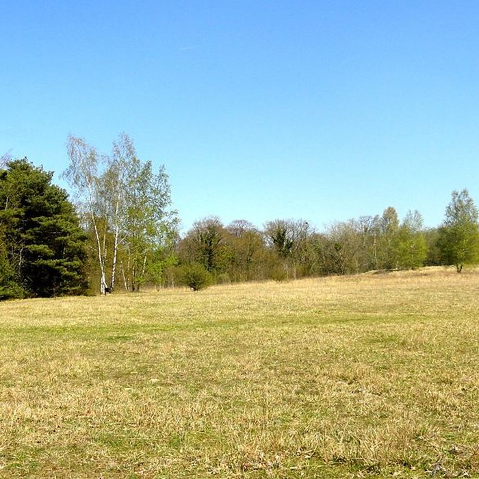 Photo de Oppidum gaulois et camp de César