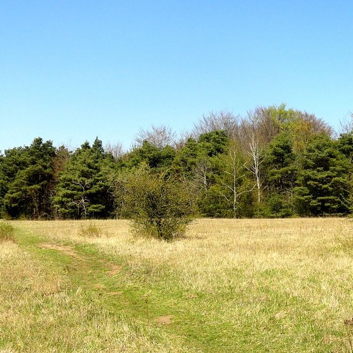 Photo de Oppidum gaulois et camp de César
