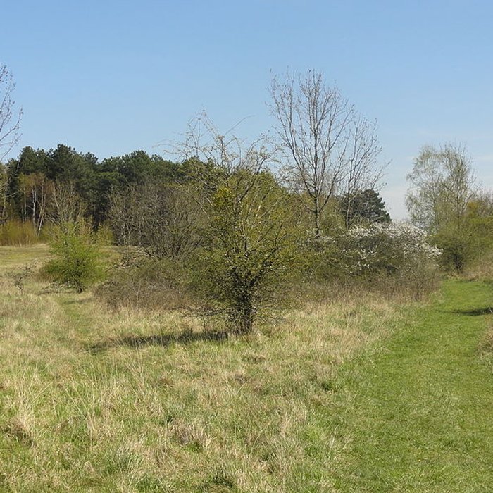 Photo de Oppidum gaulois et camp de César