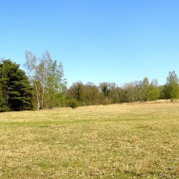 Oppidum gaulois et camp de César
