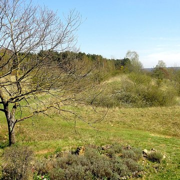 Oppidum gaulois et camp de César