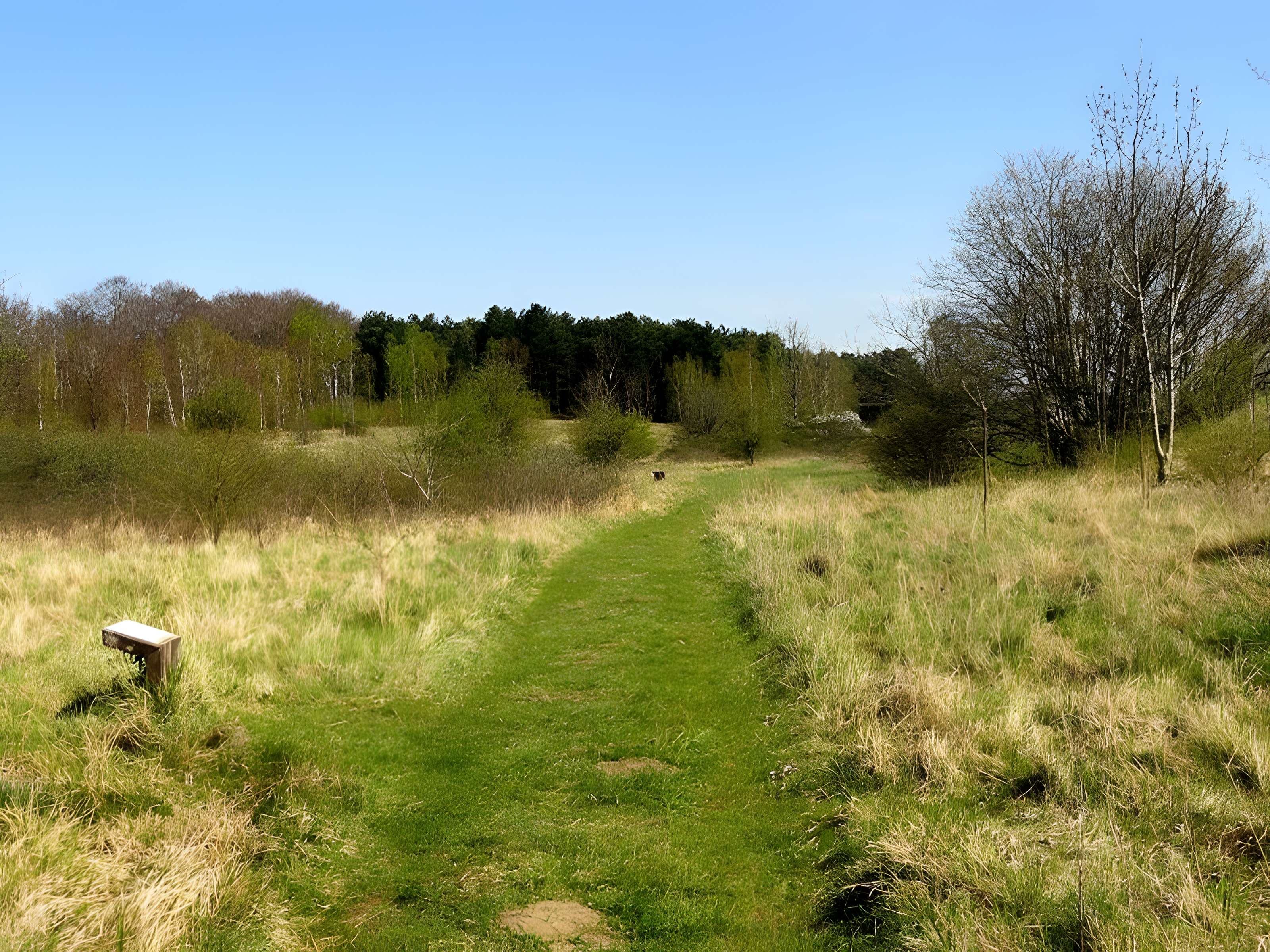 Oppidum de Bailleul-sur-Thérain 