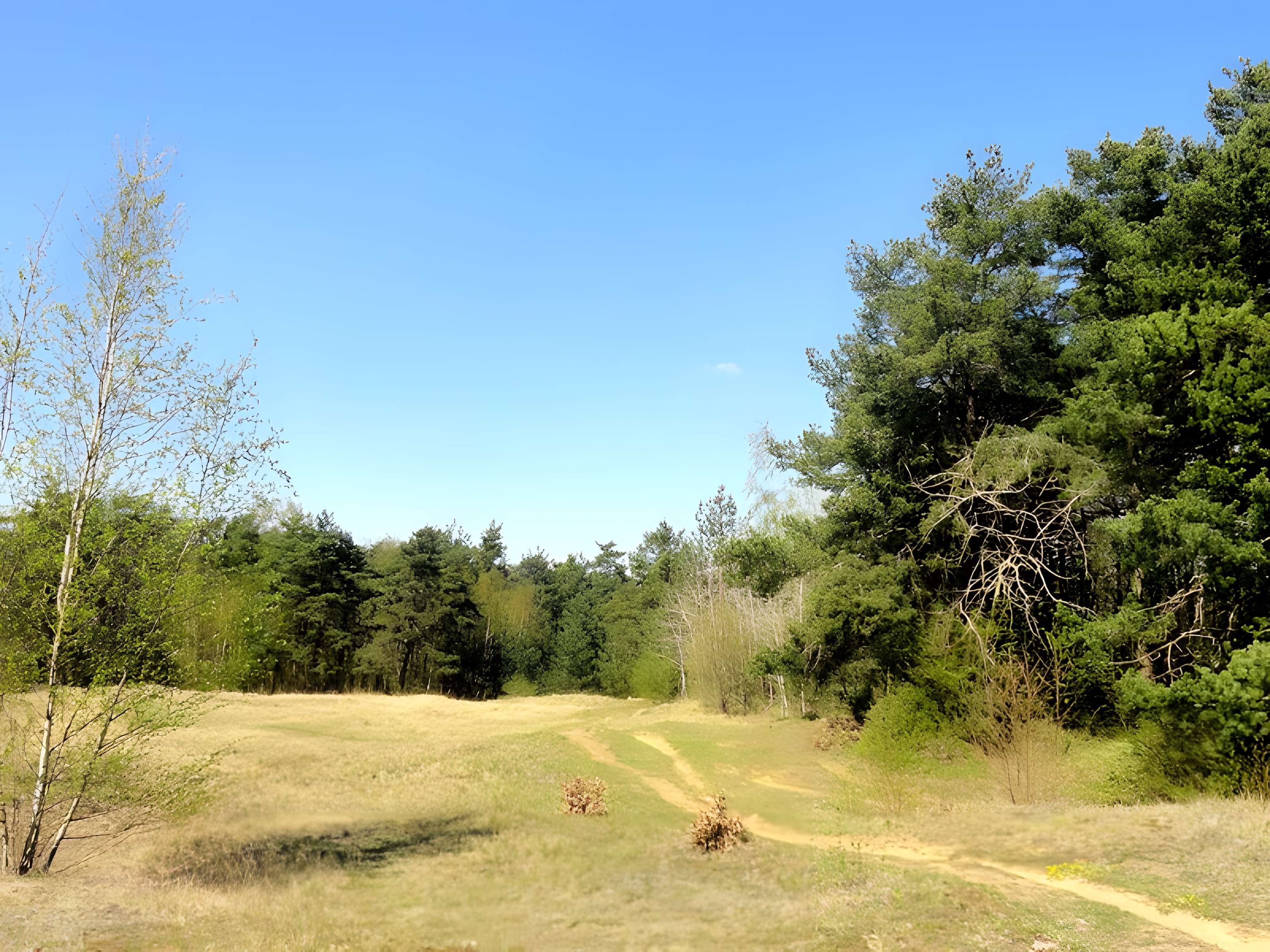 Oppidum gaulois et camp de César