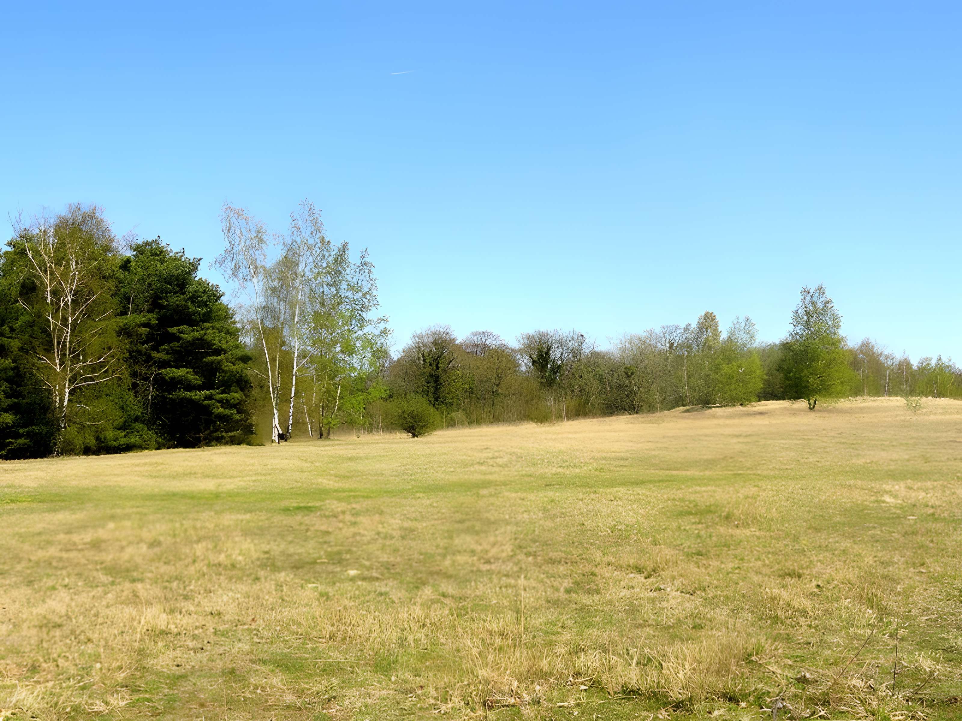 Oppidum gaulois et camp de César