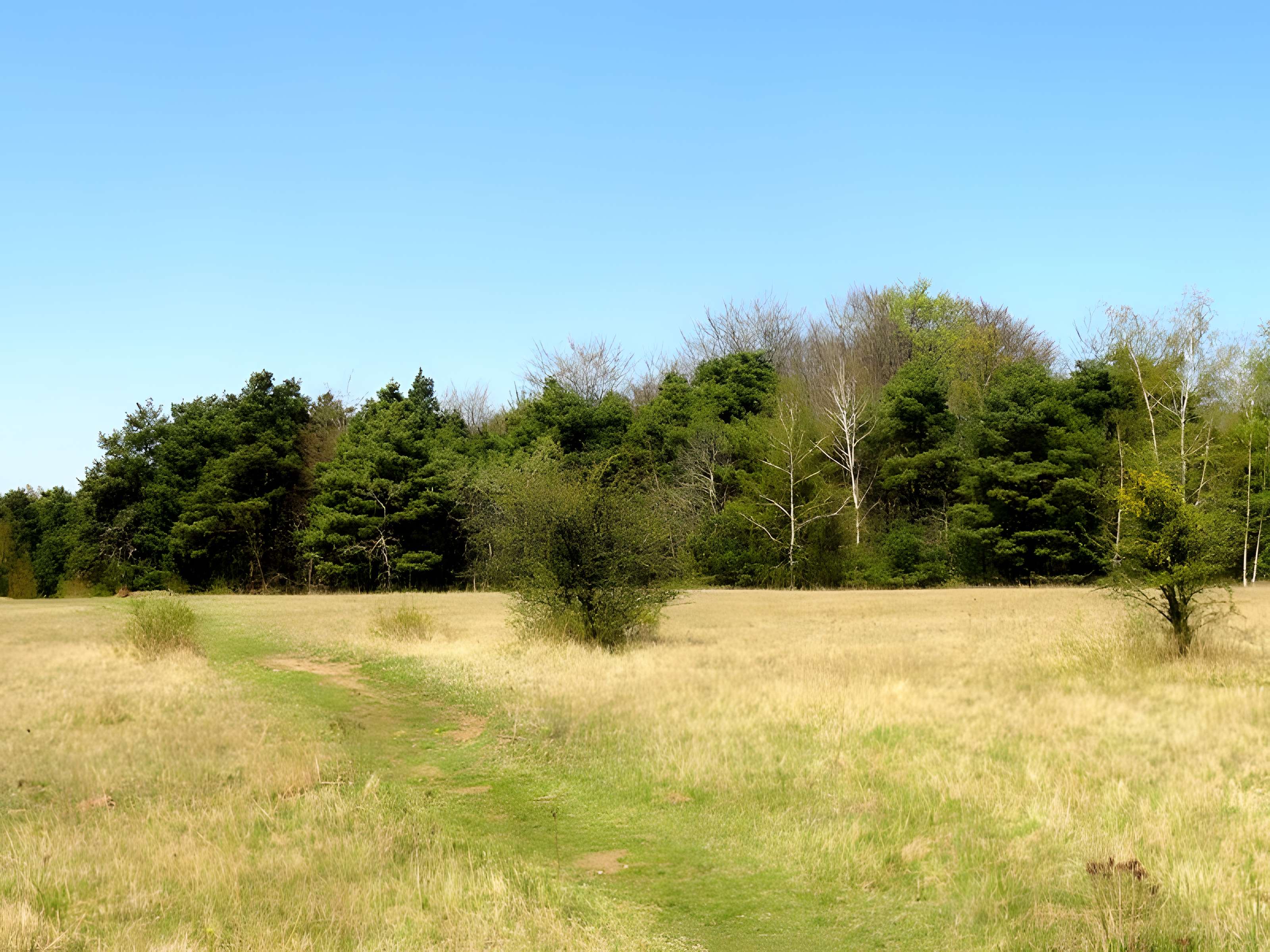 Oppidum gaulois et camp de César