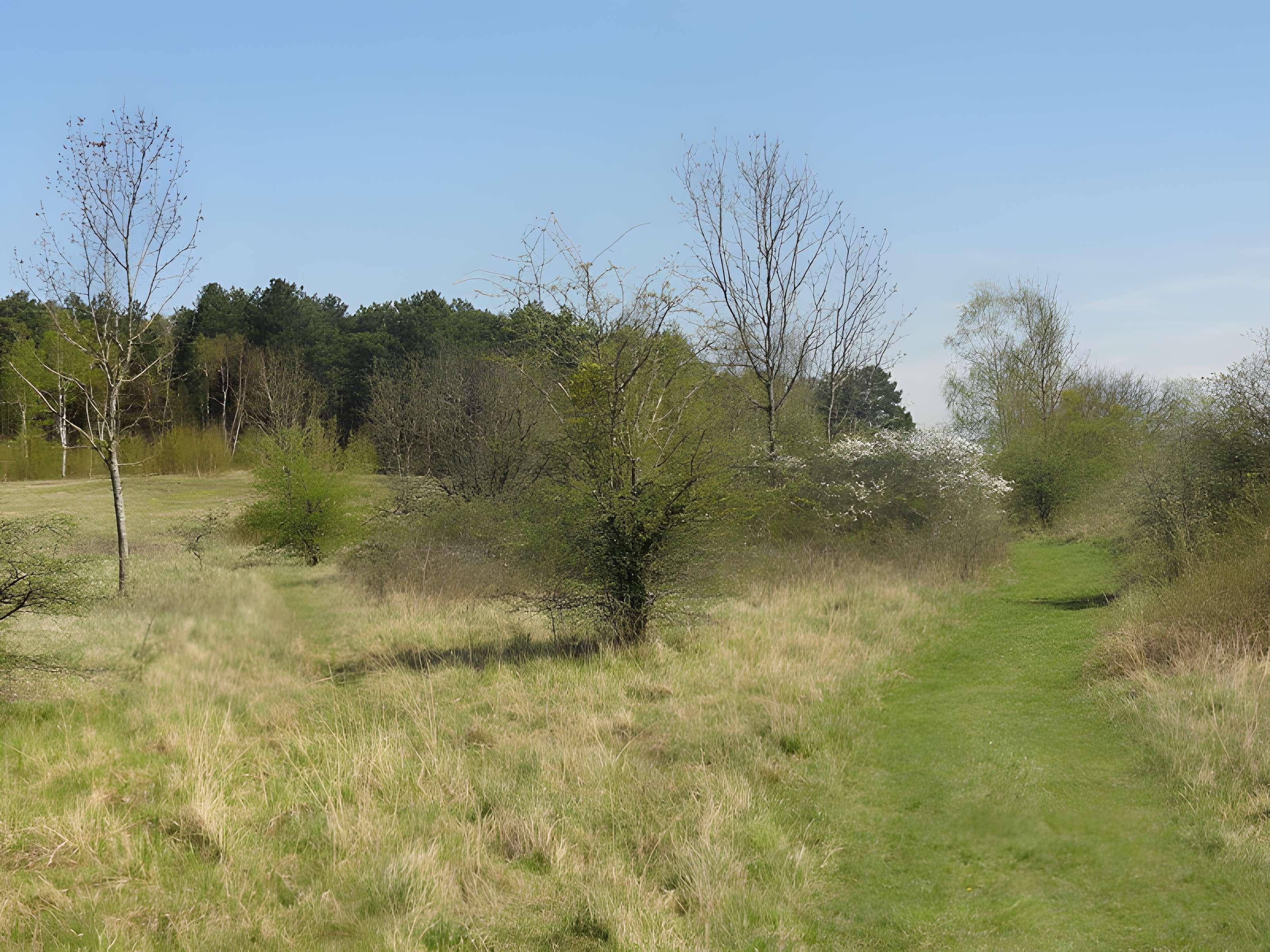 Oppidum gaulois et camp de César
