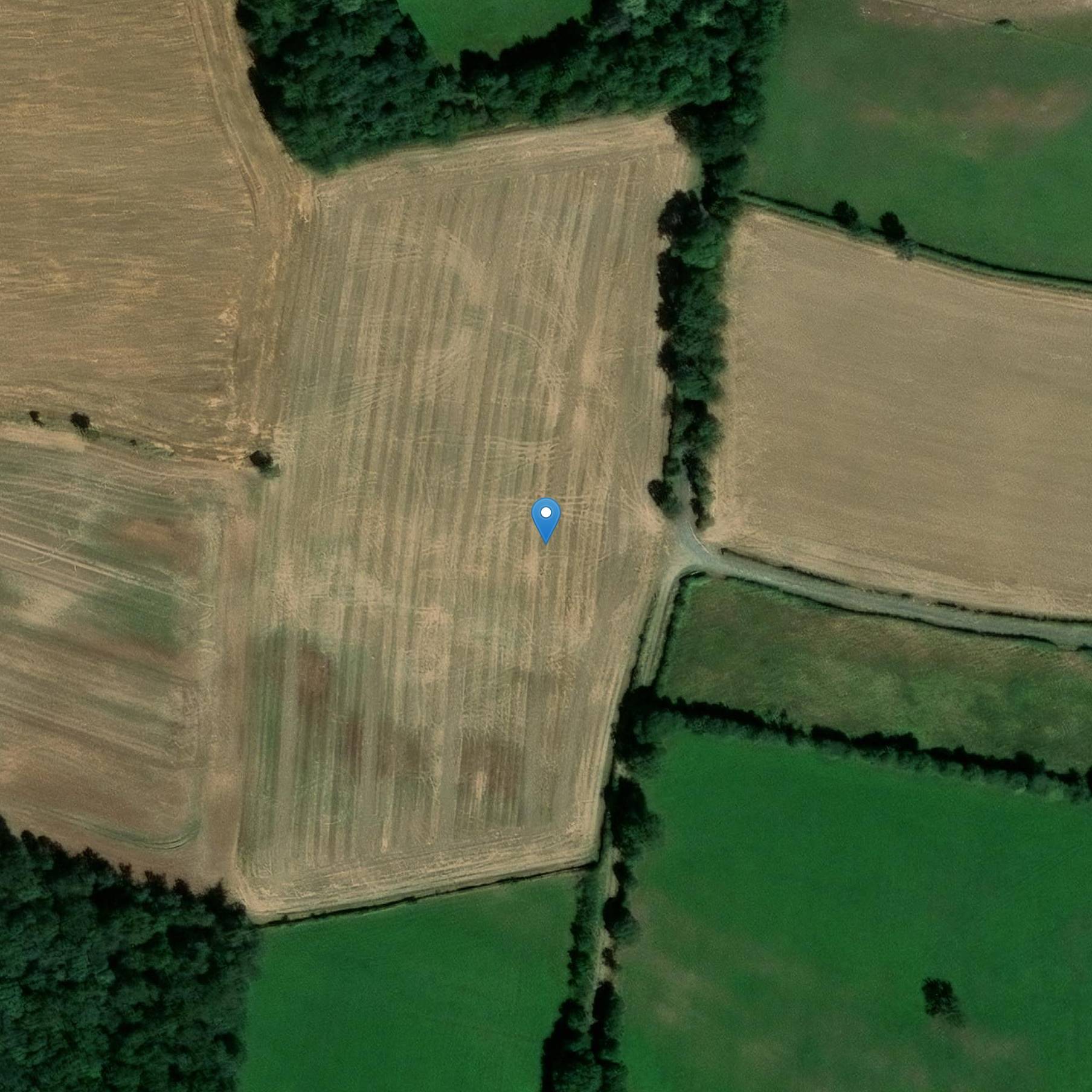 Photo de Oppidum de Gesnes-le-Gandelin