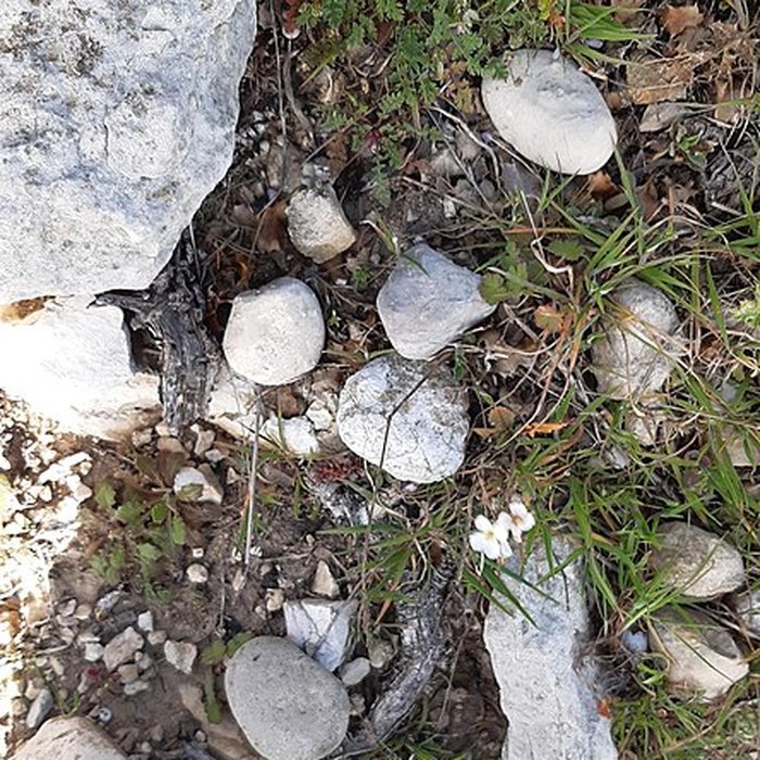 Photo de Oppidum de la Cloche des Pennes-Mirabeau