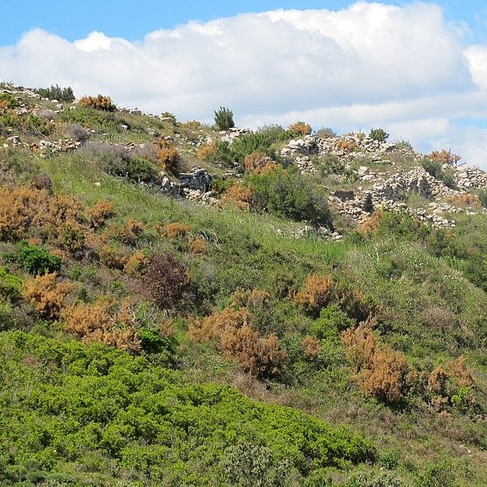 Photo de Oppidum de la Cloche des Pennes-Mirabeau