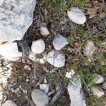 Oppidum de la Cloche des Pennes-Mirabeau