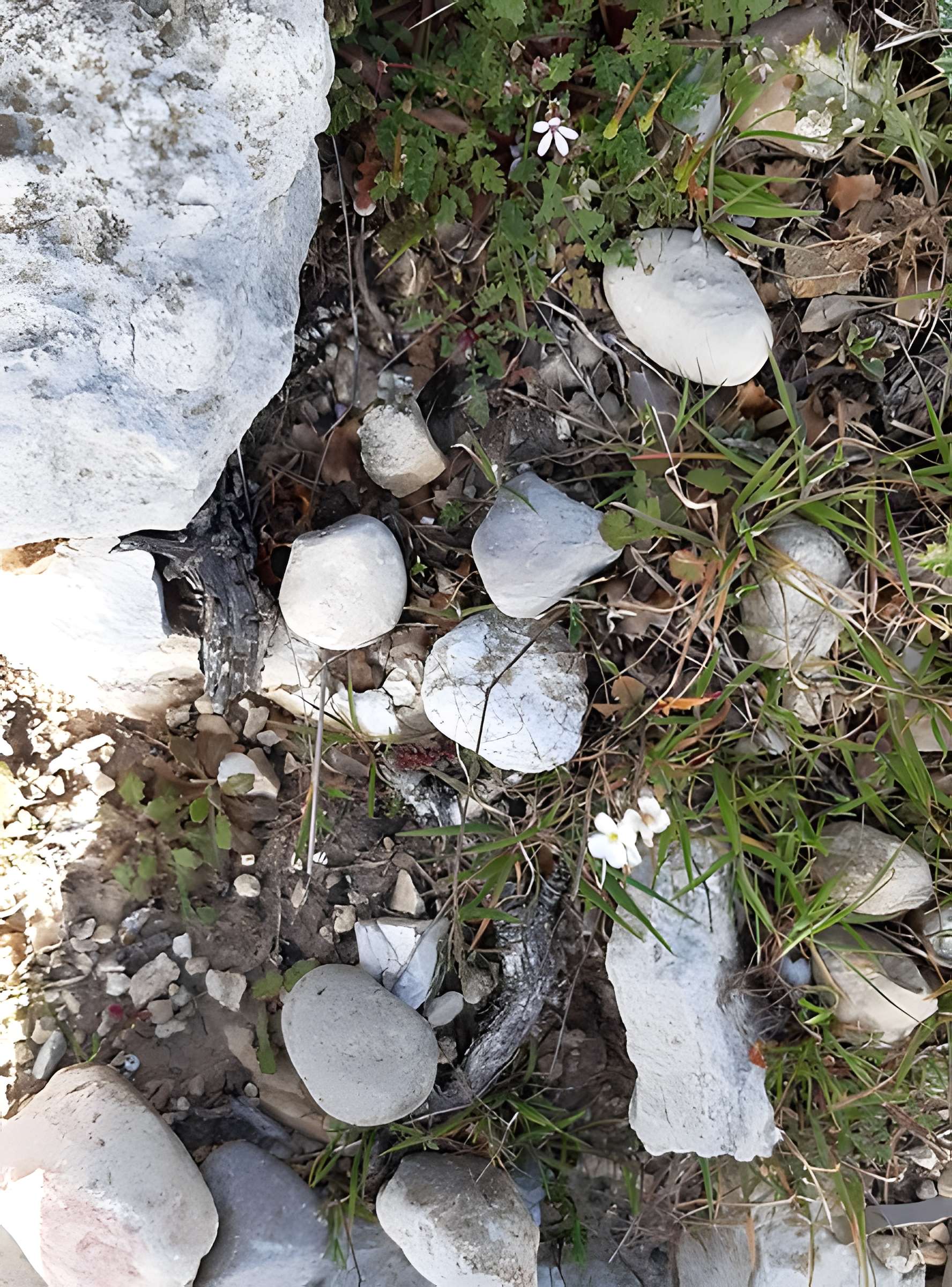 Oppidum de la Cloche des Pennes-Mirabeau