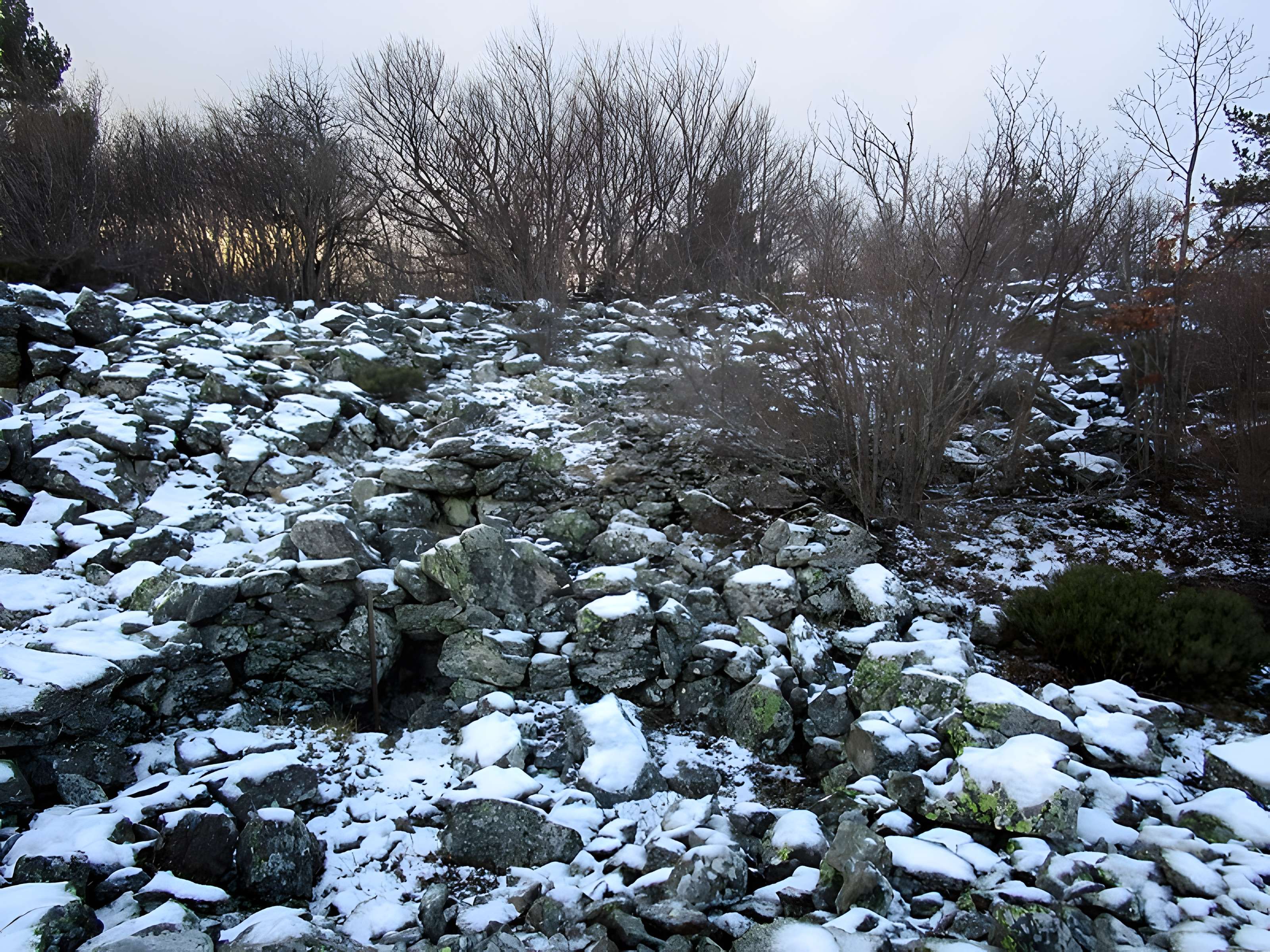 Oppidum de la Fare à Saint-Andéol-de-Fourchades