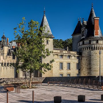 Château de Dissay