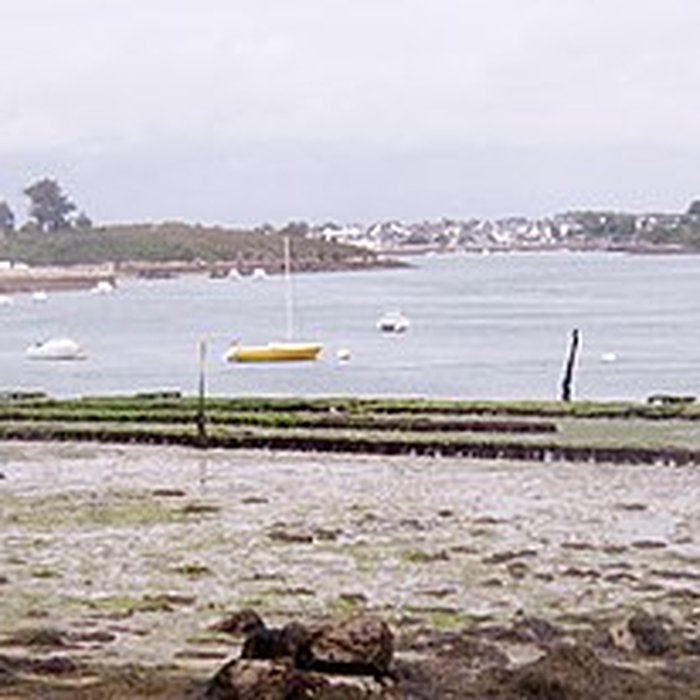 Photo de Oppidum de Mané-Coh-Castel à Plouhinec