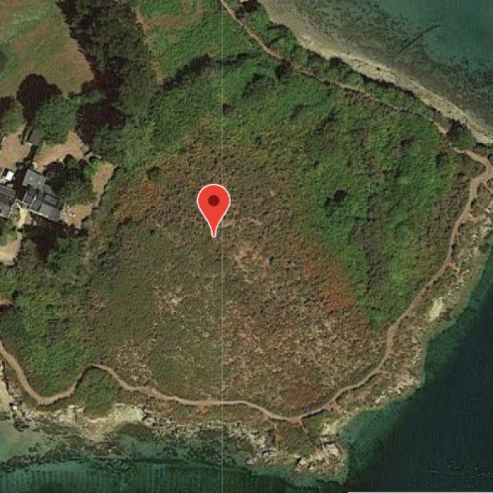 Photo de Oppidum de Mané-Coh-Castel à Plouhinec