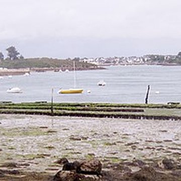 Oppidum de Mané-Coh-Castel à Plouhinec