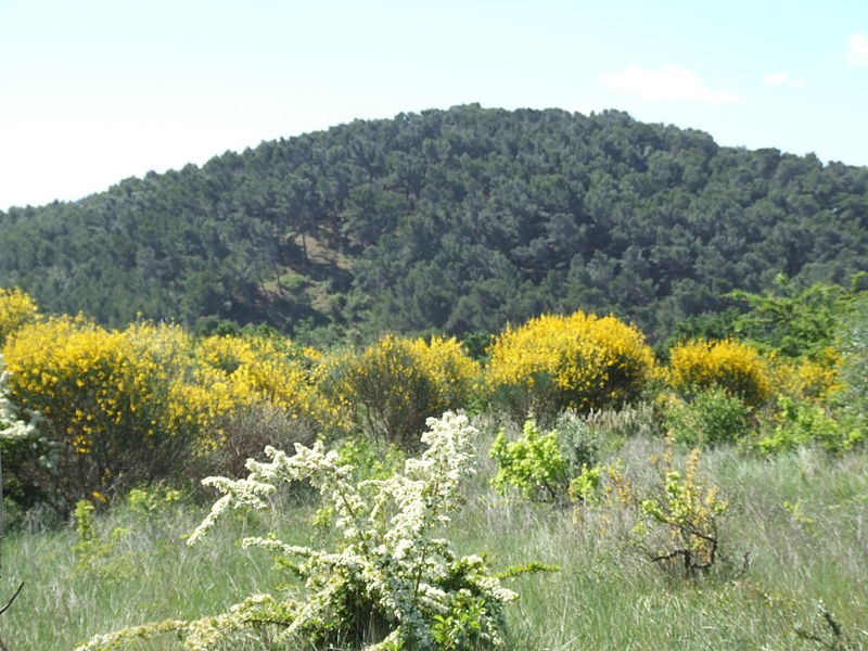 Photo de Oppidum de Pierredon à Éguilles