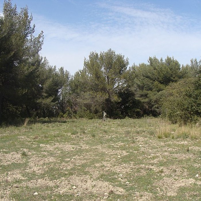 Photo de Oppidum du Baou-Roux à Bouc-Bel-Air