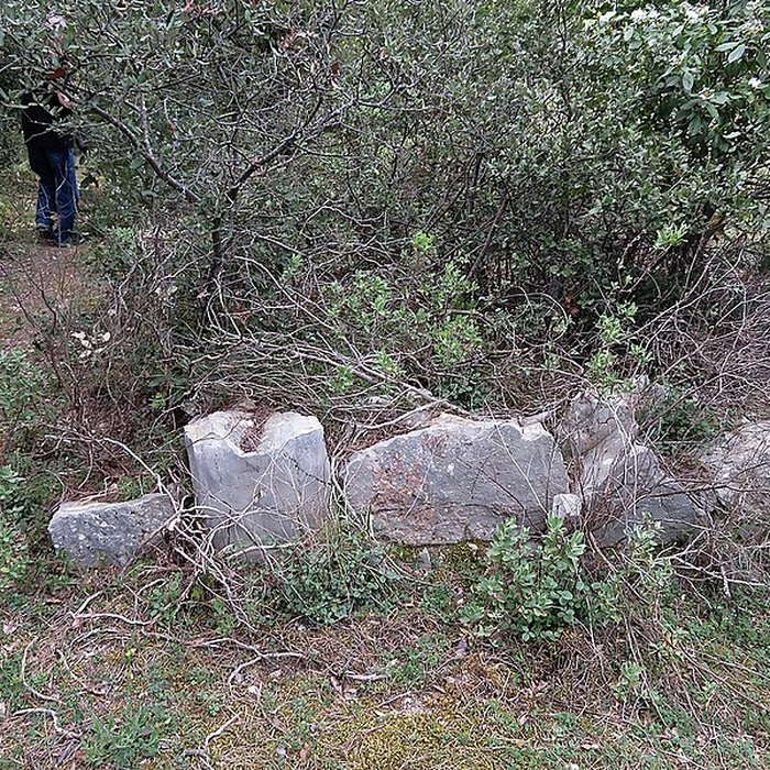 Photo de Oppidum du Baou-Roux à Bouc-Bel-Air
