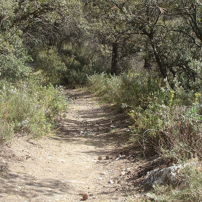 Photo de Oppidum du Baou-Roux à Bouc-Bel-Air