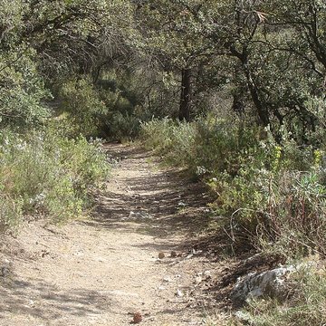 Oppidum du Baou-Roux à Bouc-Bel-Air