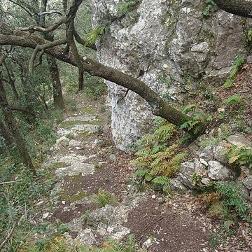 Oppidum du Baou-Roux à Bouc-Bel-Air
