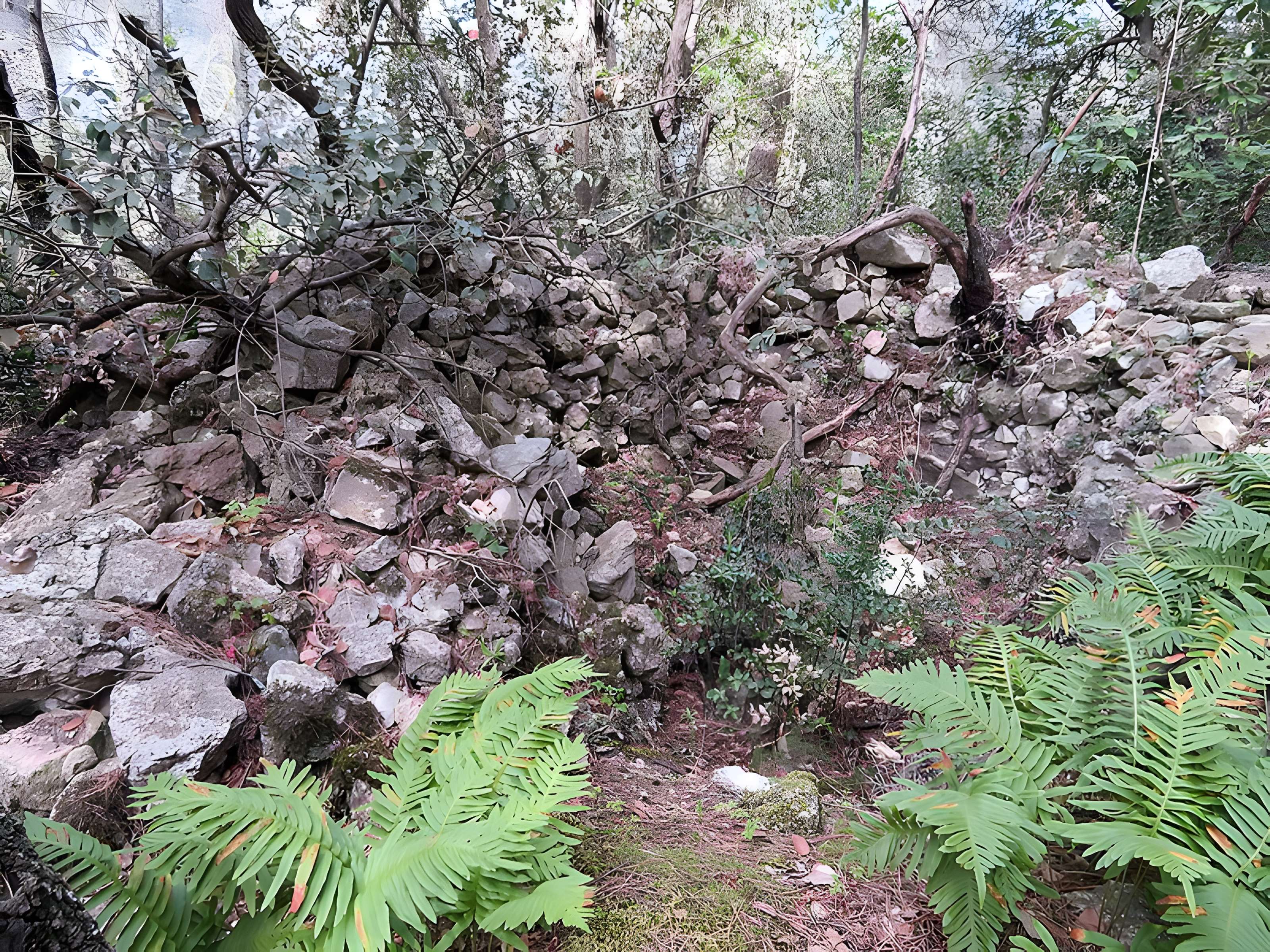 Oppidum du Baou-Roux à Bouc-Bel-Air