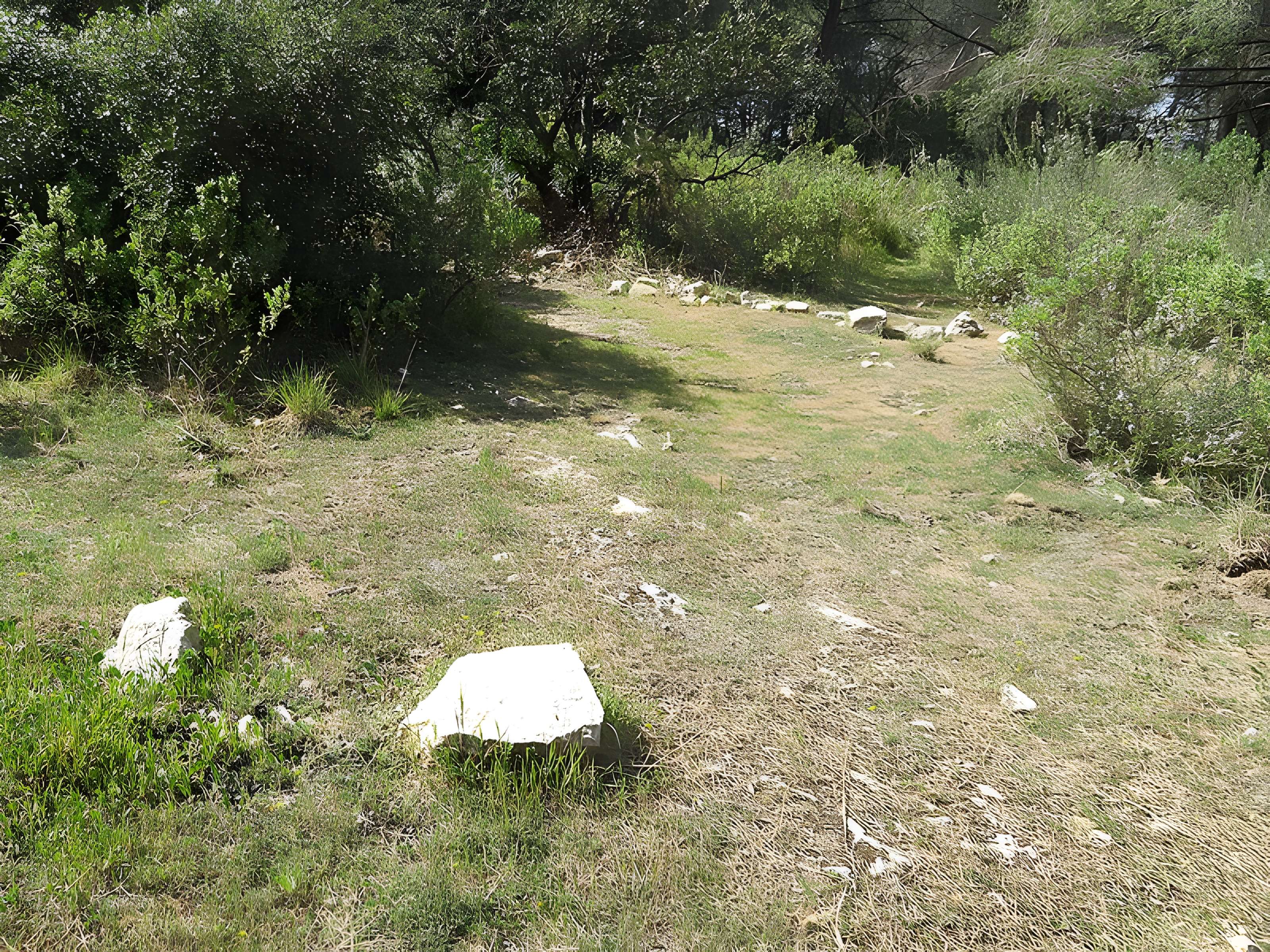 Oppidum du Baou-Roux à Bouc-Bel-Air