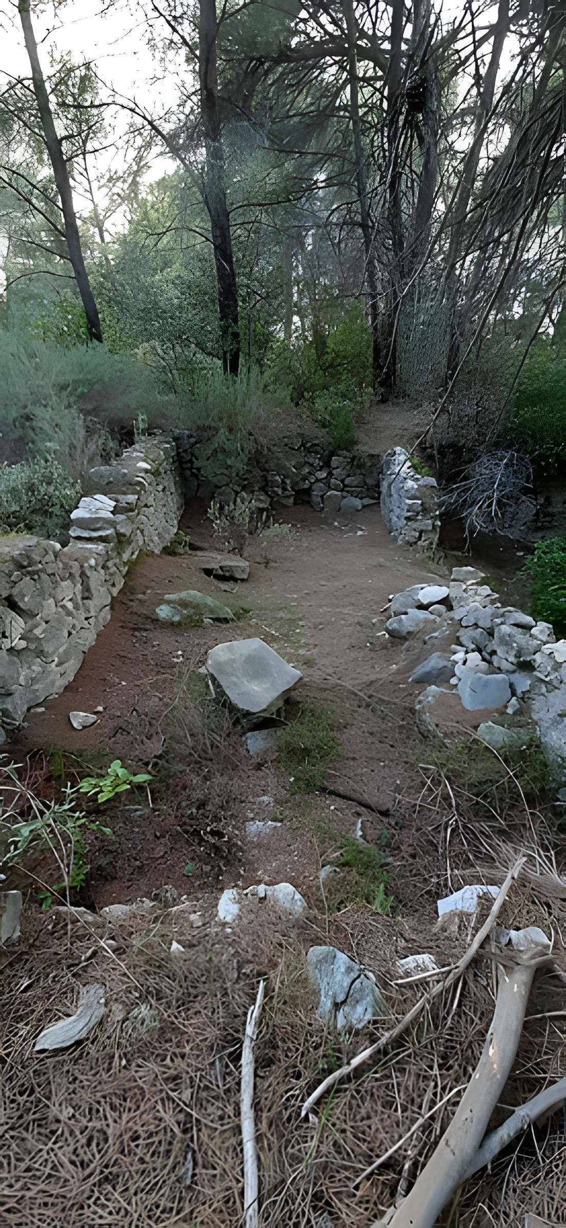 Oppidum du Baou-Roux à Bouc-Bel-Air