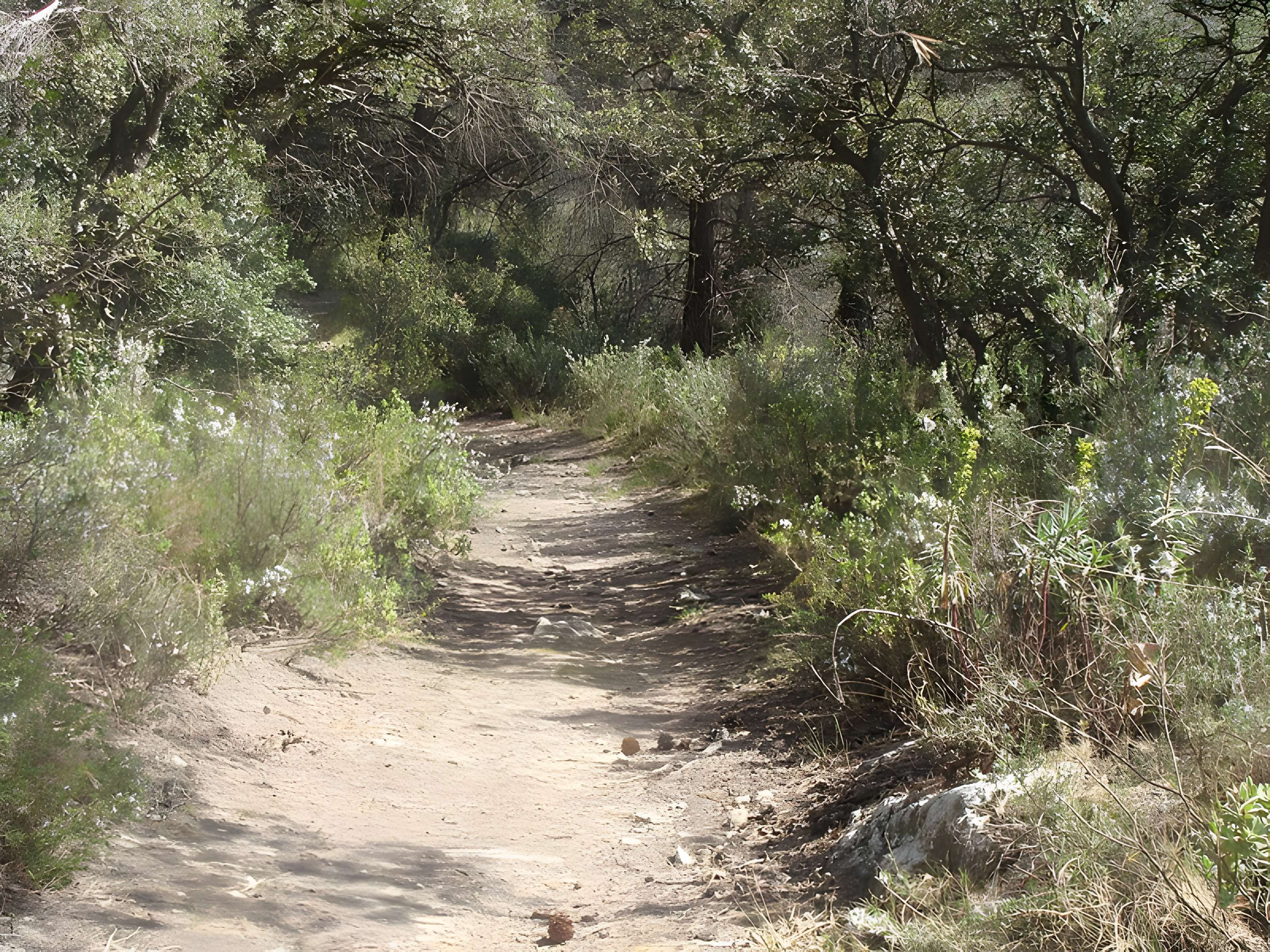 Oppidum du Baou-Roux à Bouc-Bel-Air