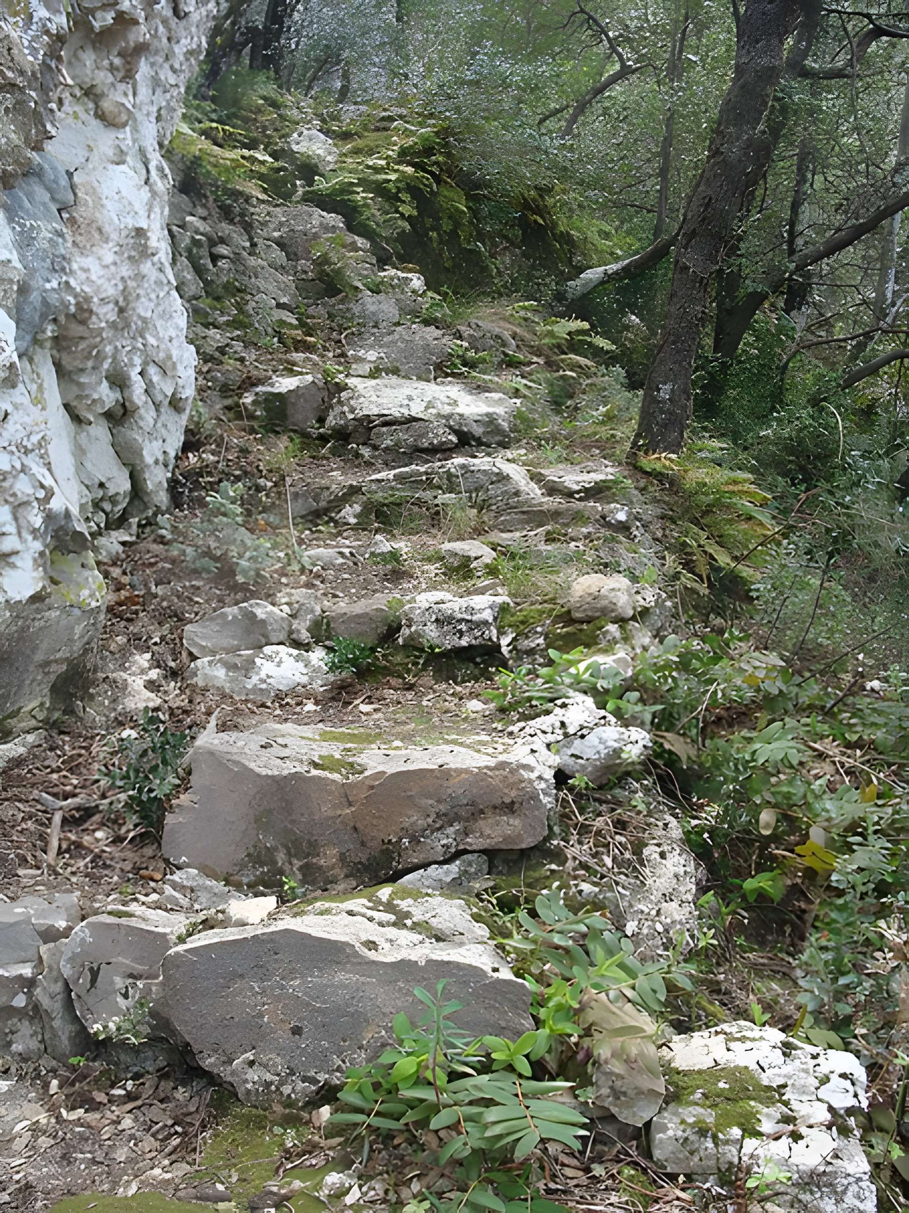 Oppidum du Baou-Roux à Bouc-Bel-Air