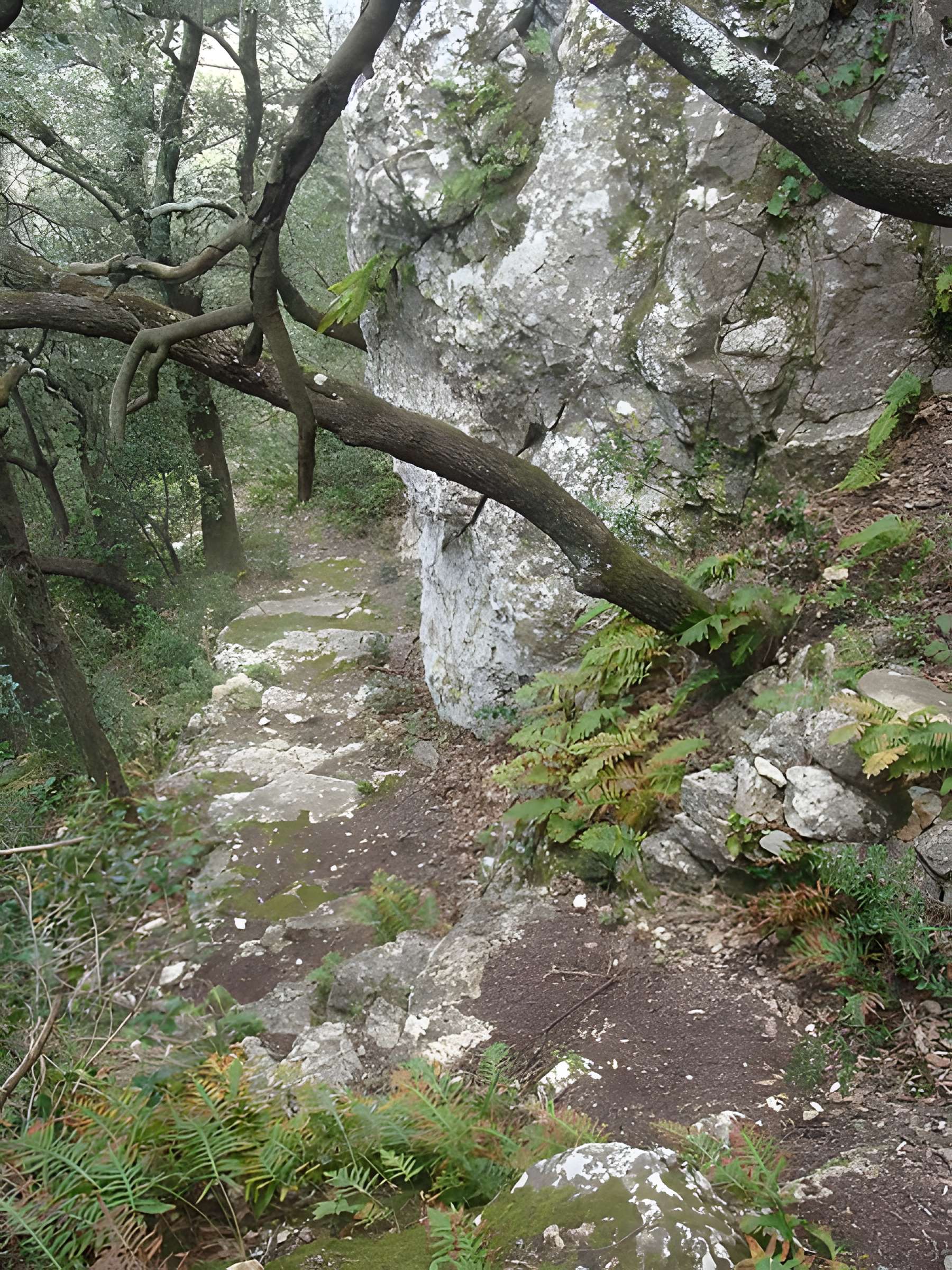 Oppidum du Baou-Roux à Bouc-Bel-Air
