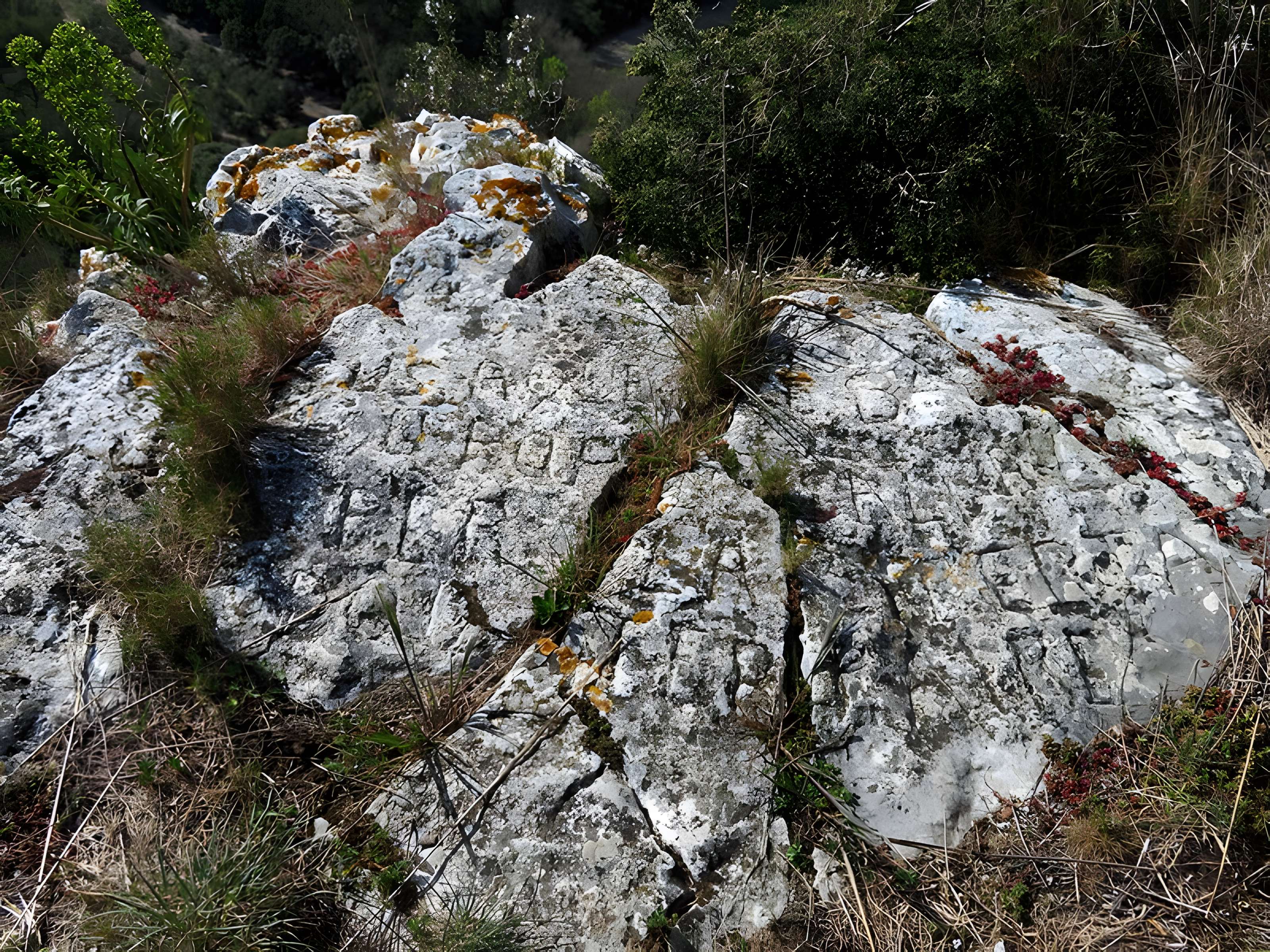 Oppidum du Baou-Roux à Bouc-Bel-Air
