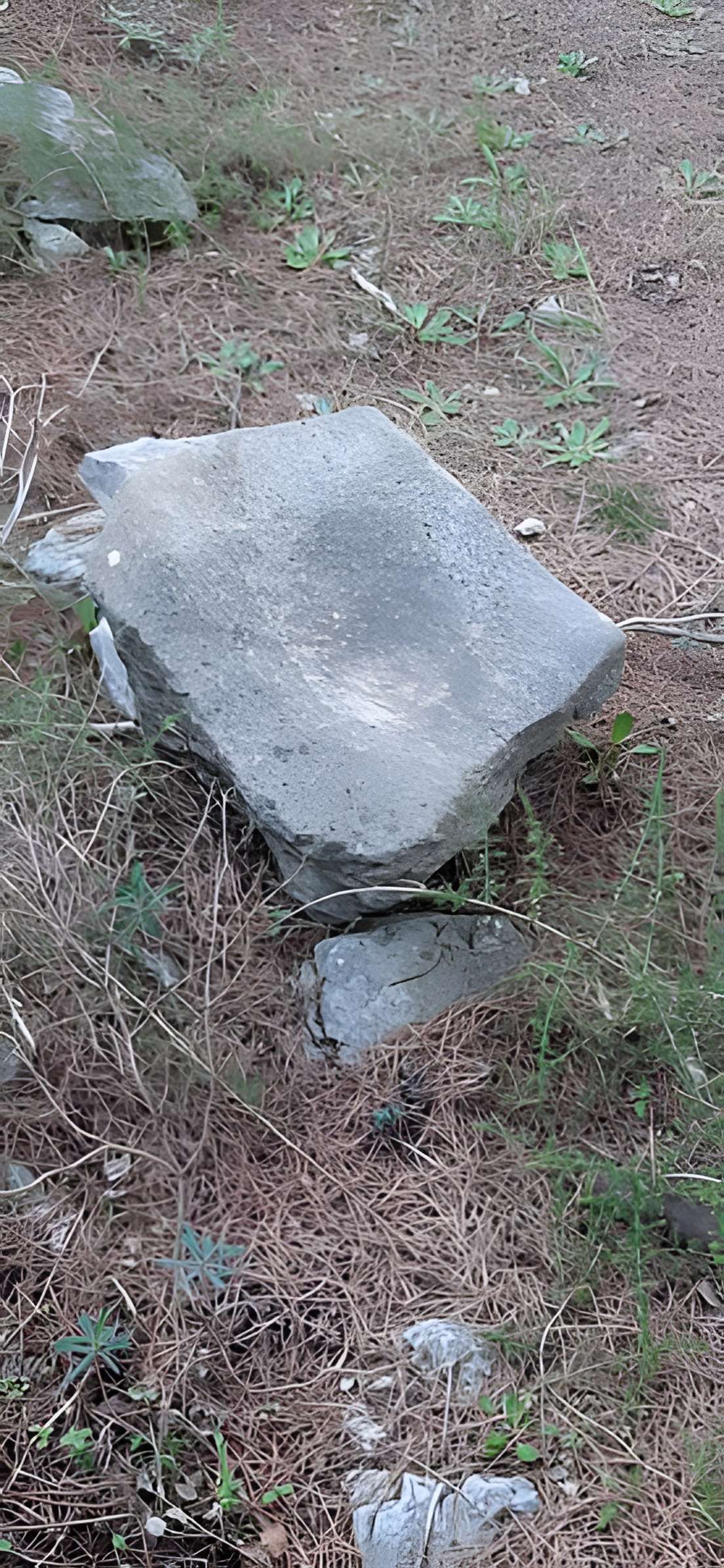 Oppidum du Baou-Roux à Bouc-Bel-Air