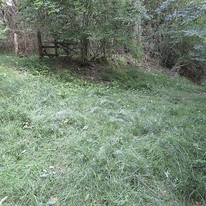 Photo de Oppidum du Château Meignan à Saint-Jean-sur-Mayenne