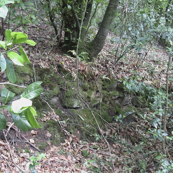 Photo de Oppidum du Château Meignan à Saint-Jean-sur-Mayenne