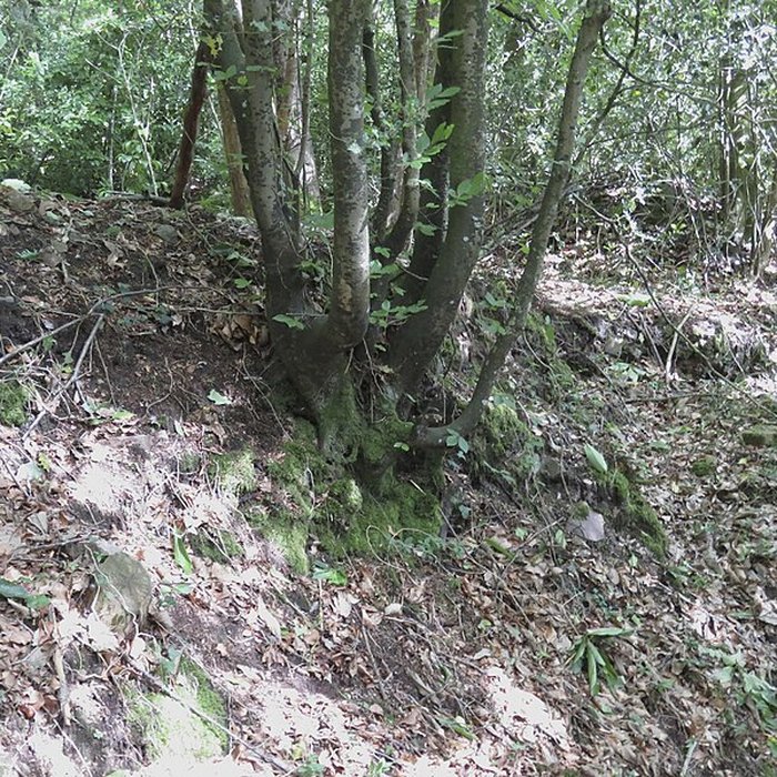 Photo de Oppidum du Château Meignan à Saint-Jean-sur-Mayenne
