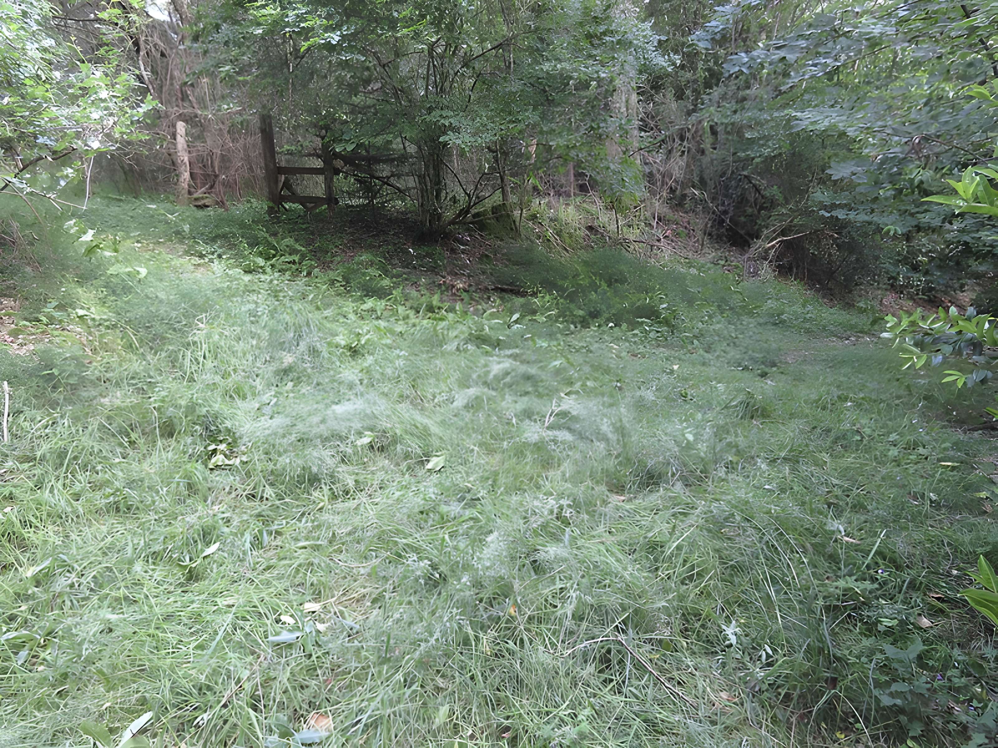Oppidum du Château Meignan à Saint-Jean-sur-Mayenne