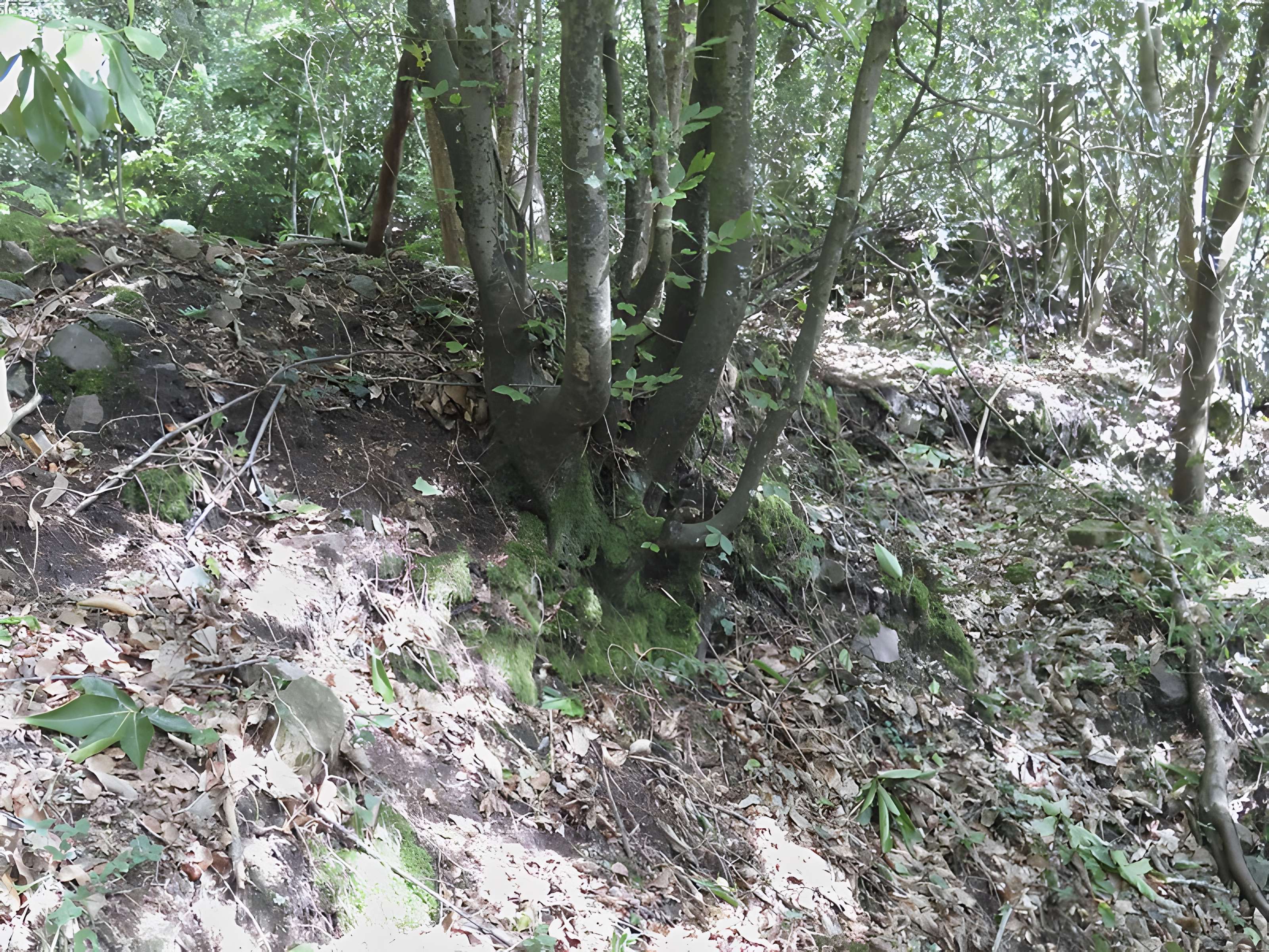 Oppidum du Château Meignan à Saint-Jean-sur-Mayenne