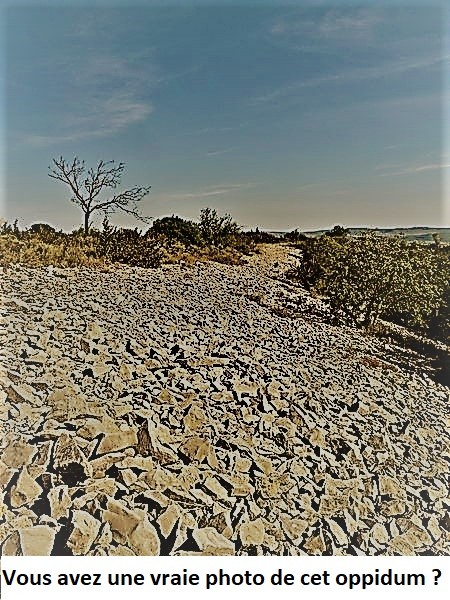 Photo de Oppidum du Grand Ranc à Boucoiran-et-Nozières