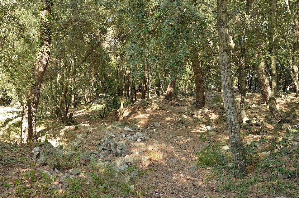 Oppidum du Mont-Pezou à Vallauris