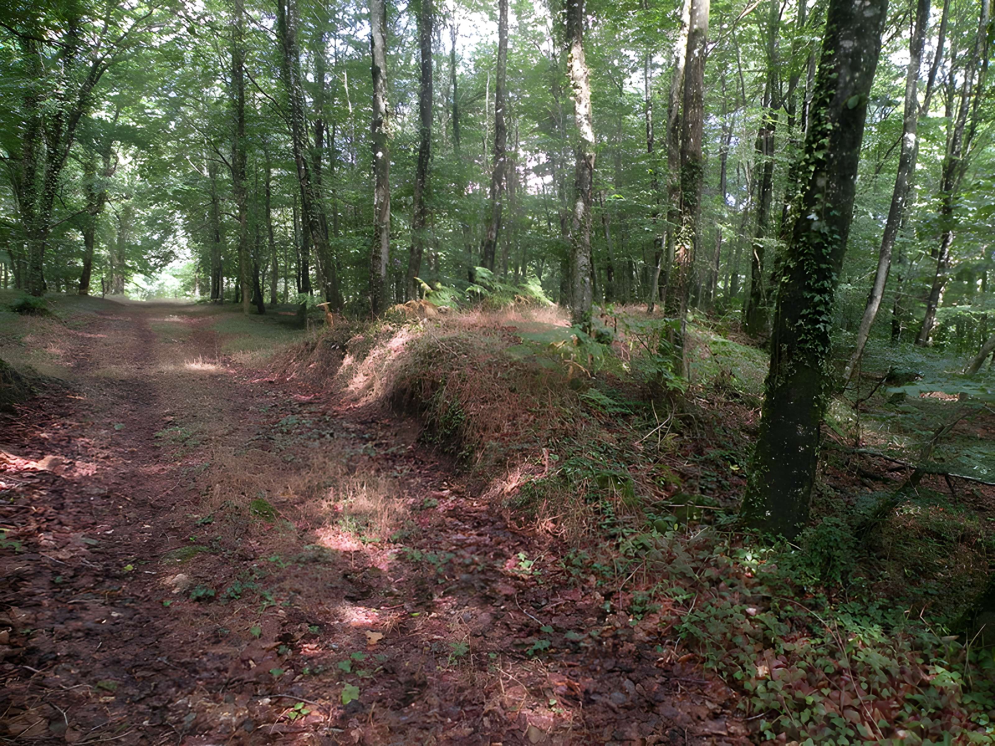 Oppidum du Poulailler de Landéan 