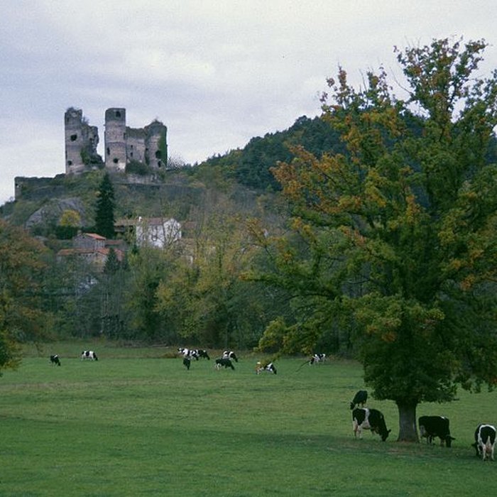 Photo de Château de Domeyrat