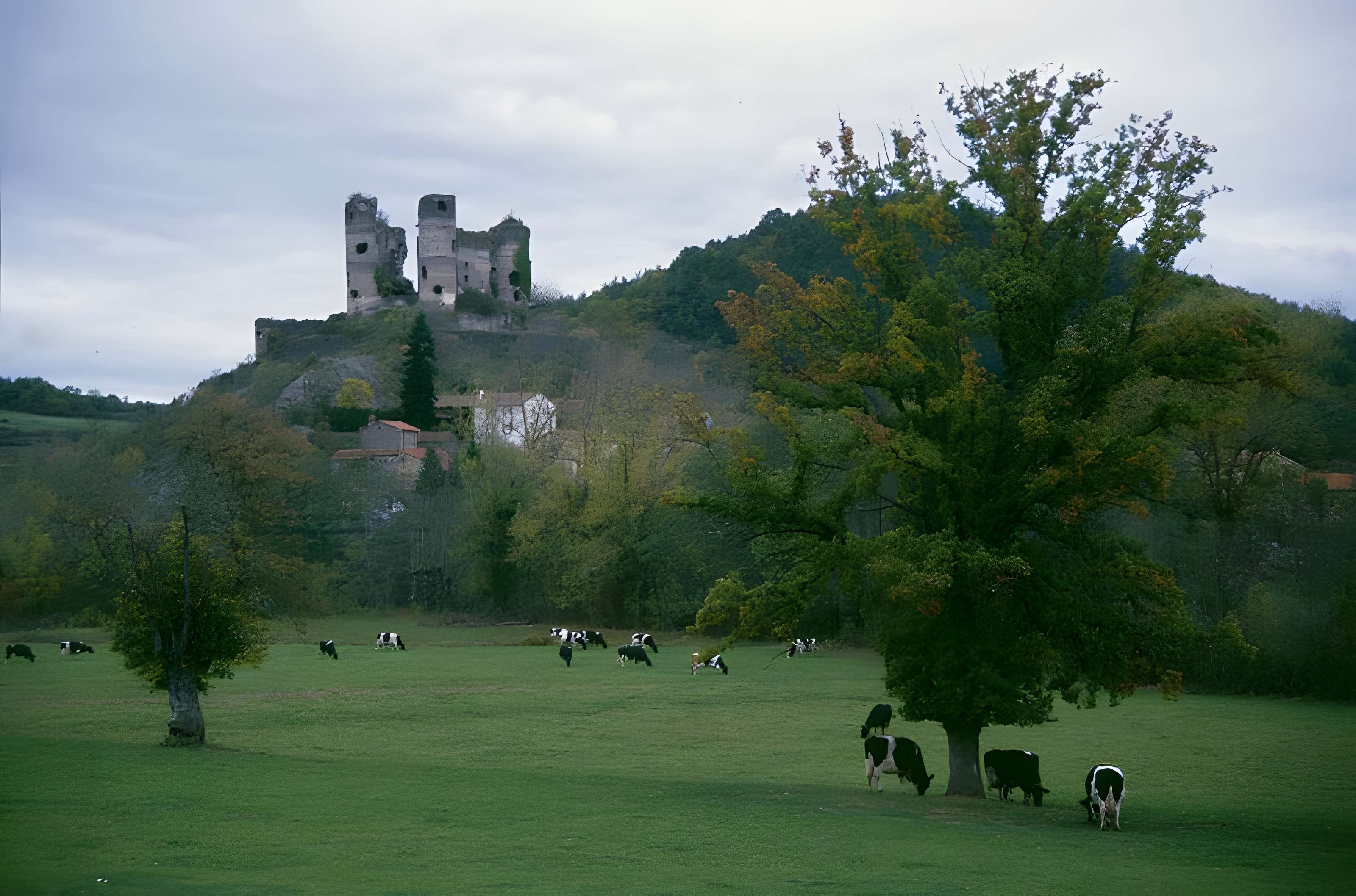 Château de Domeyrat