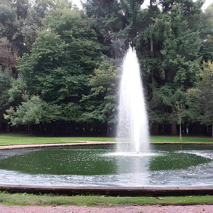 Photo de Château de Drée