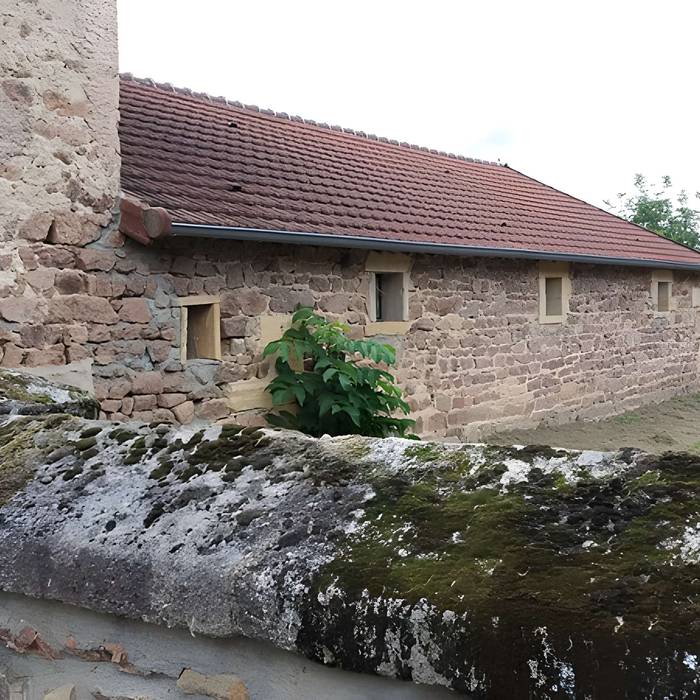 Photo de Château de Drée