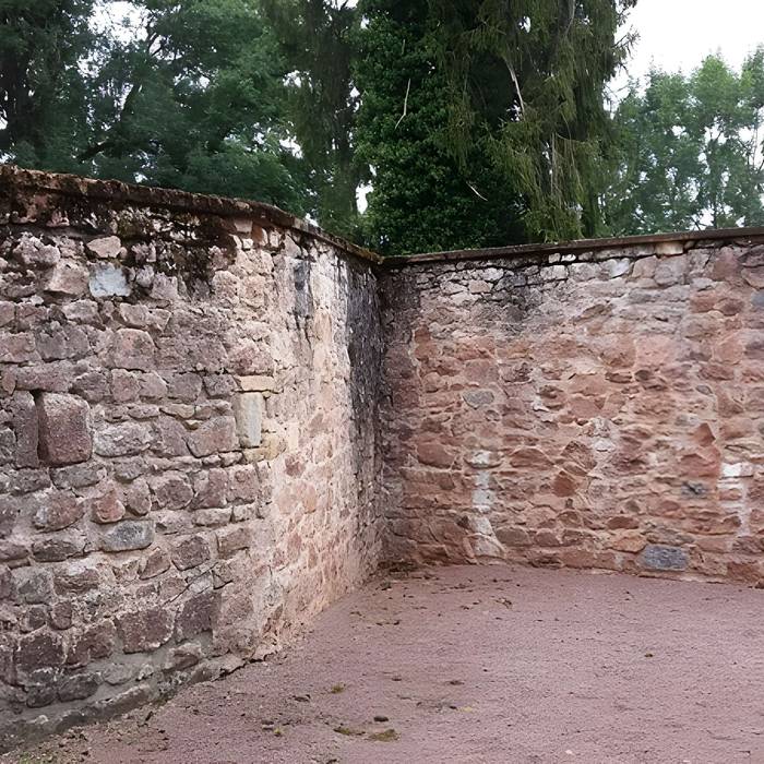 Photo de Château de Drée