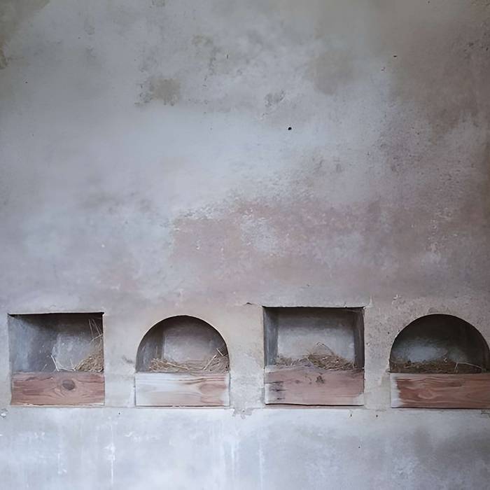 Photo de Château de Drée