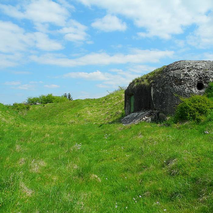 Photo de Ouvrage de Meroux